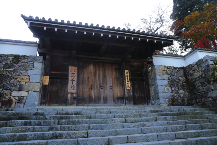 三千院_e0051888_4464766.jpg
