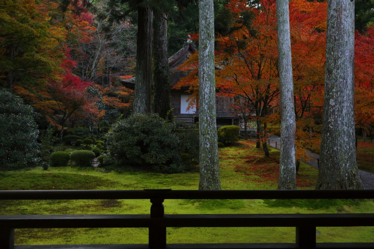 三千院_e0051888_446584.jpg