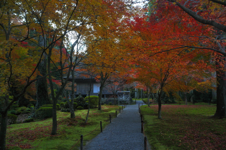 三千院_e0051888_4471141.jpg