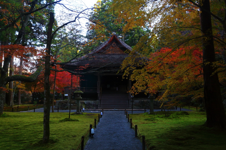 三千院_e0051888_4471995.jpg