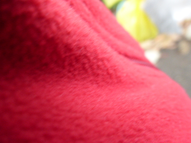 b0349589_12245091.jpg
