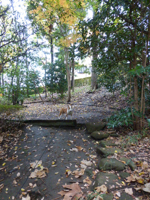 b0349589_12253444.jpg