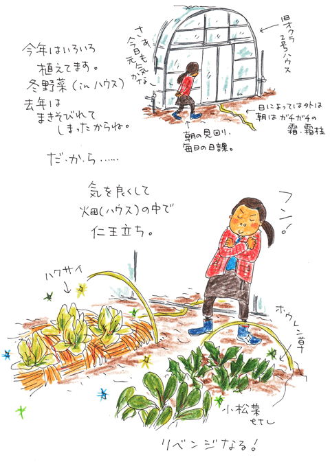 f0236291_632583.gif