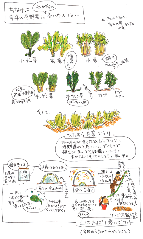 f0236291_63346.gif