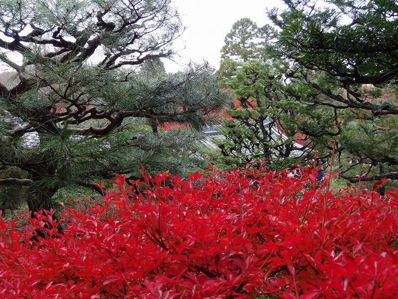 開山堂：　東福寺_b0205694_624173.jpg