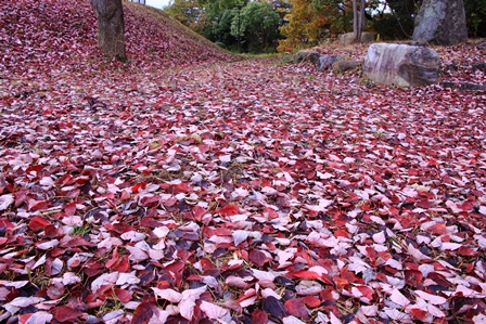 紅葉愛知池一周 その1_b0236595_1033434.jpg