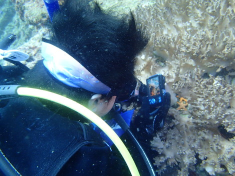 e0115199_15073327.jpg