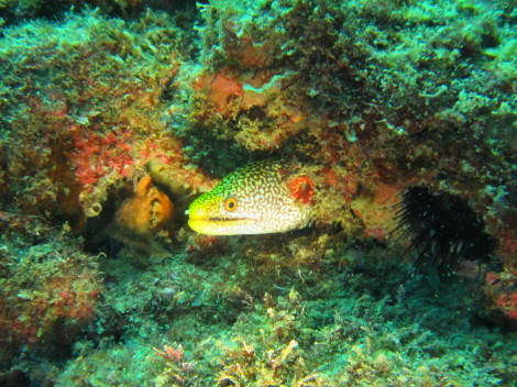 e0115199_15173963.jpg