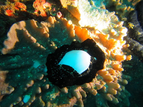 e0115199_15184374.jpg