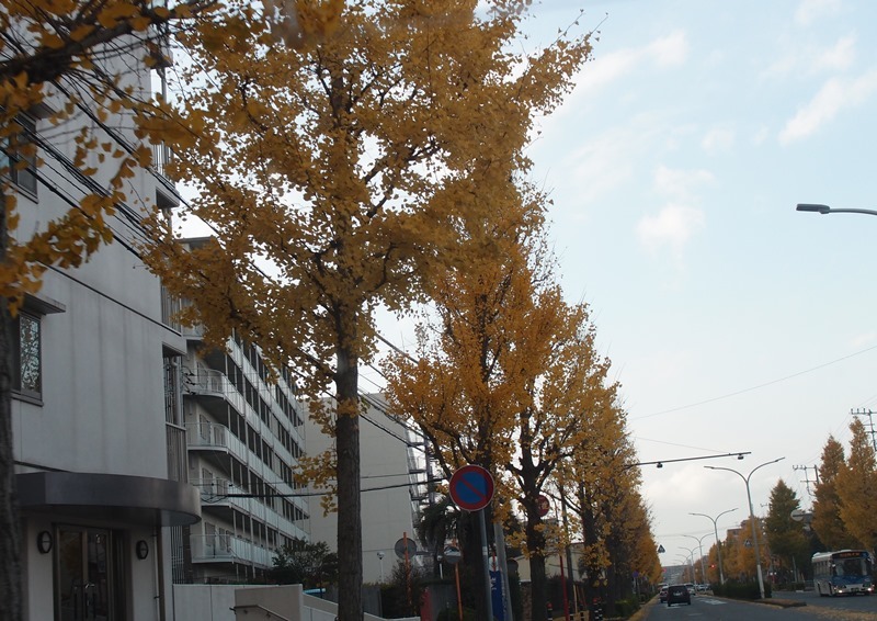 e0018604_18051792.jpg