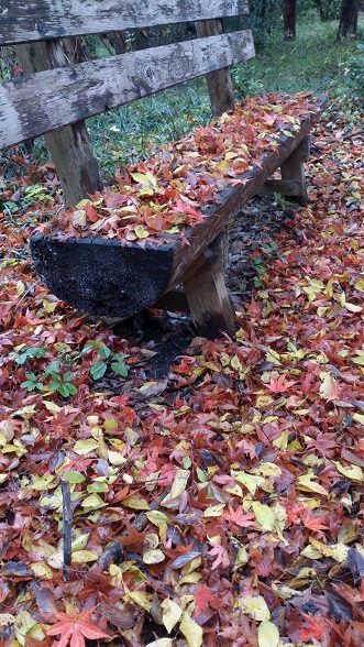 紅葉のてんこ盛り_a0122205_14273335.jpg