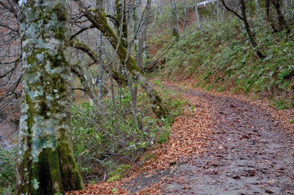 c0336907_22153998.jpg