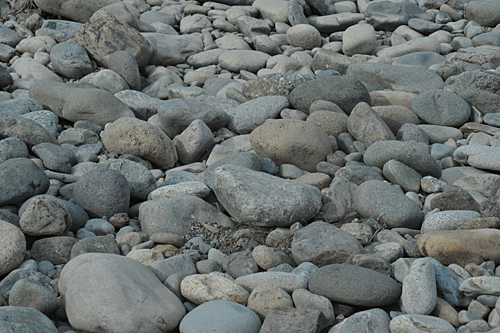 a0278809_1241238.gif