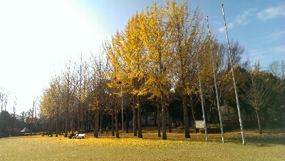 c0312913_18272821.jpg