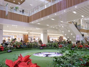 グランツリー武蔵小杉 行ってみた マンボウパソコンスール 悠々ブログ グランツリー武蔵小杉 行ってみた マンボウパソコンスール 悠々ブログ