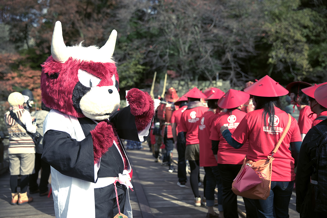 獣兵衛　-いしだみつにゃん誕生祭と彦根甲冑祭綱引き大会-_c0115616_17271610.jpg