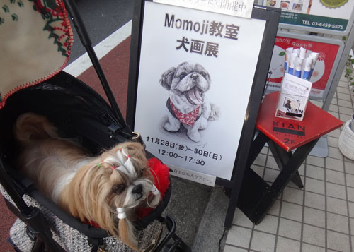 Momoji教室 犬画展に行って来ました_c0028424_2182587.jpg