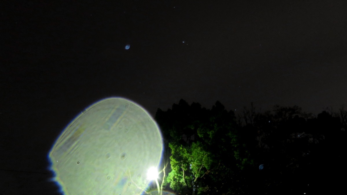 c0331825_20591314.jpg