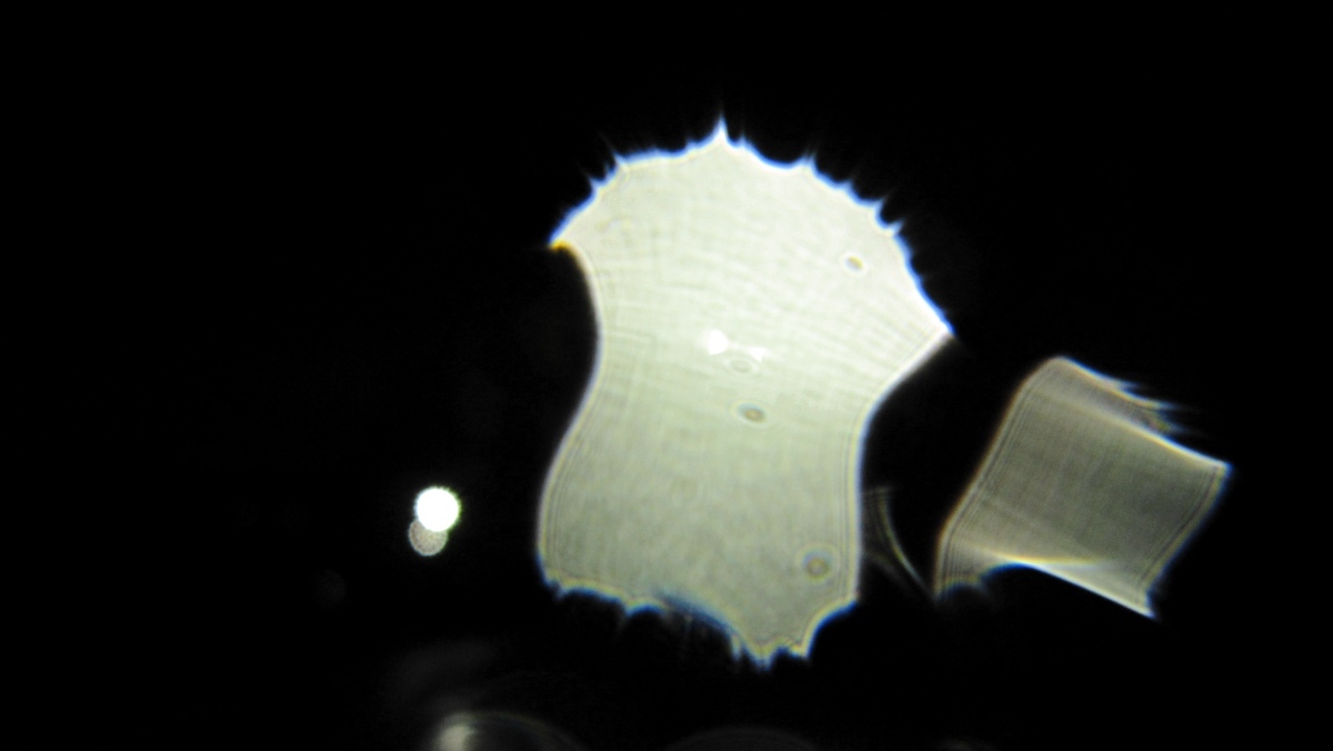 c0331825_20592911.jpg