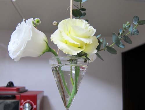 f0147025_20344527.jpg