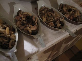 c0292328_22222885.jpg