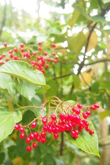 f0243731_06365030.jpg