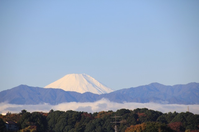 f0348831_21084172.jpg