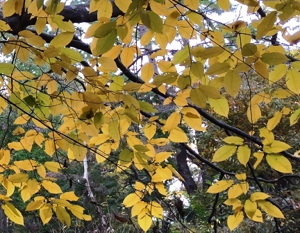 b0330040_03252511.jpg