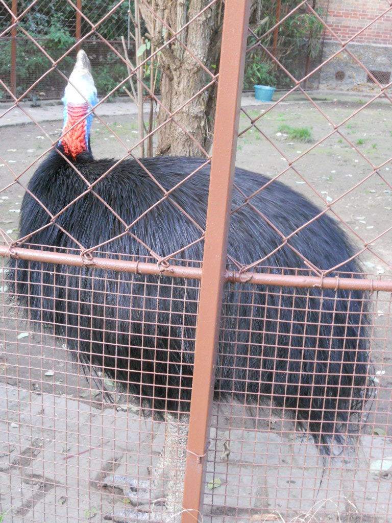 e0300042_22343692.jpg