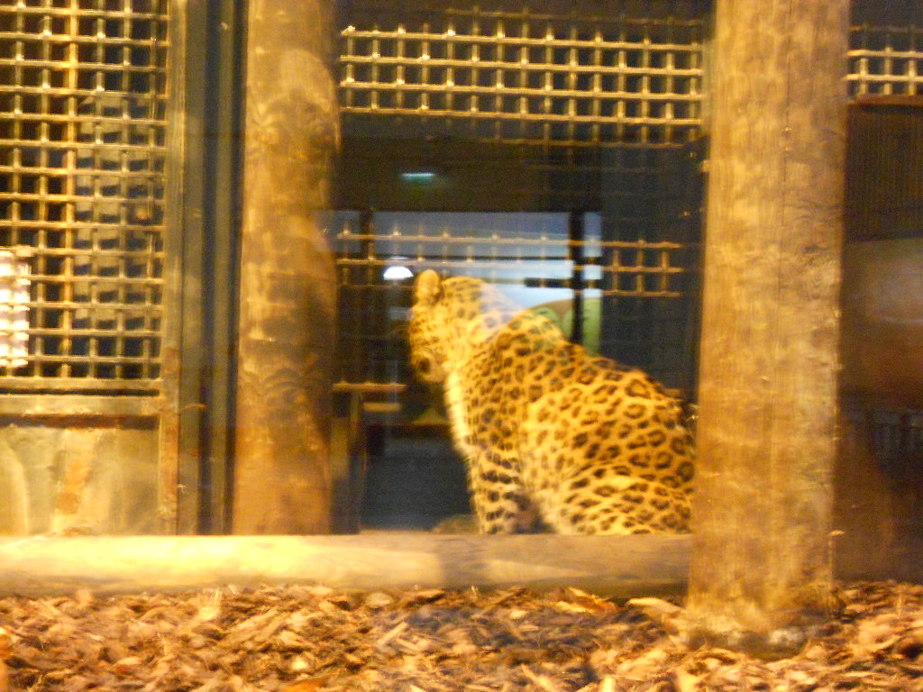 e0300042_2236684.jpg