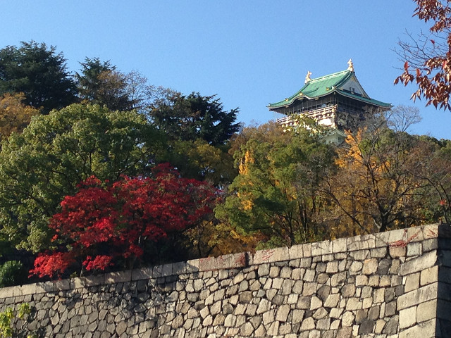 2014/11/30　大阪城　紅葉_b0217643_21325522.jpg