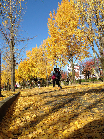 2014/11/30　大阪城　紅葉_b0217643_21332332.jpg