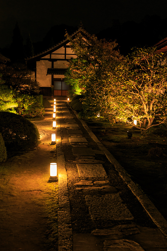 雲龍院・紅葉ライトアップ(泉涌寺塔頭)_f0155048_234941.jpg