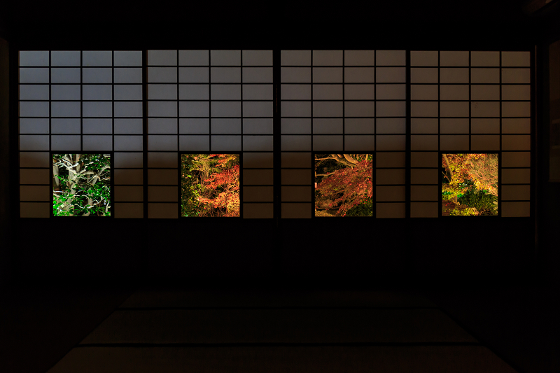 雲龍院・紅葉ライトアップ(泉涌寺塔頭)_f0155048_23495687.jpg