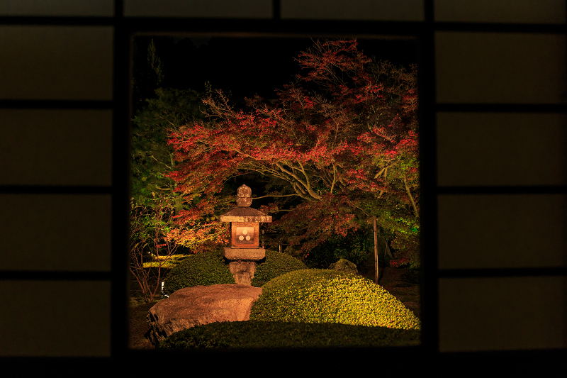 雲龍院・紅葉ライトアップ(泉涌寺塔頭)_f0155048_23501795.jpg