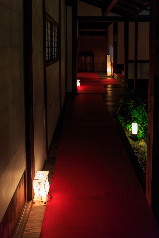 雲龍院・紅葉ライトアップ(泉涌寺塔頭)_f0155048_23505920.jpg