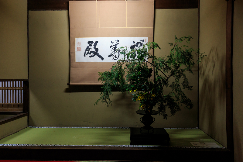 雲龍院・紅葉ライトアップ(泉涌寺塔頭)_f0155048_2351234.jpg