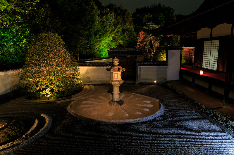 雲龍院・紅葉ライトアップ(泉涌寺塔頭)_f0155048_2351595.jpg