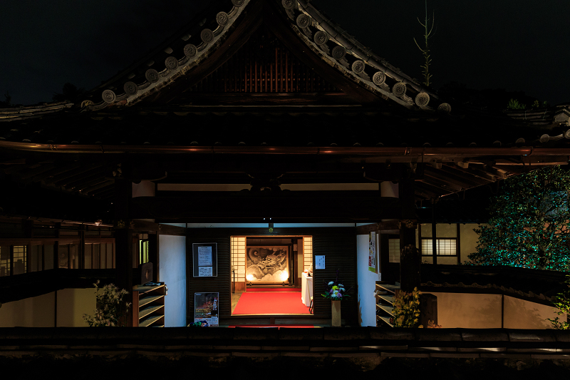 雲龍院・紅葉ライトアップ(泉涌寺塔頭)_f0155048_23525829.jpg