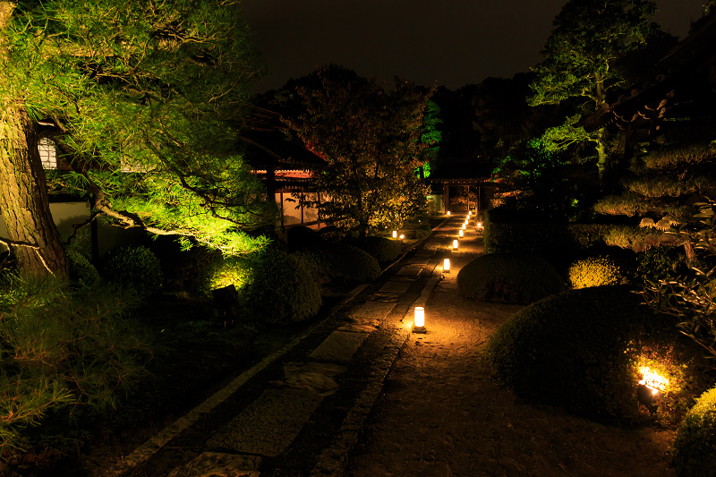 雲龍院・紅葉ライトアップ(泉涌寺塔頭)_f0155048_2355407.jpg
