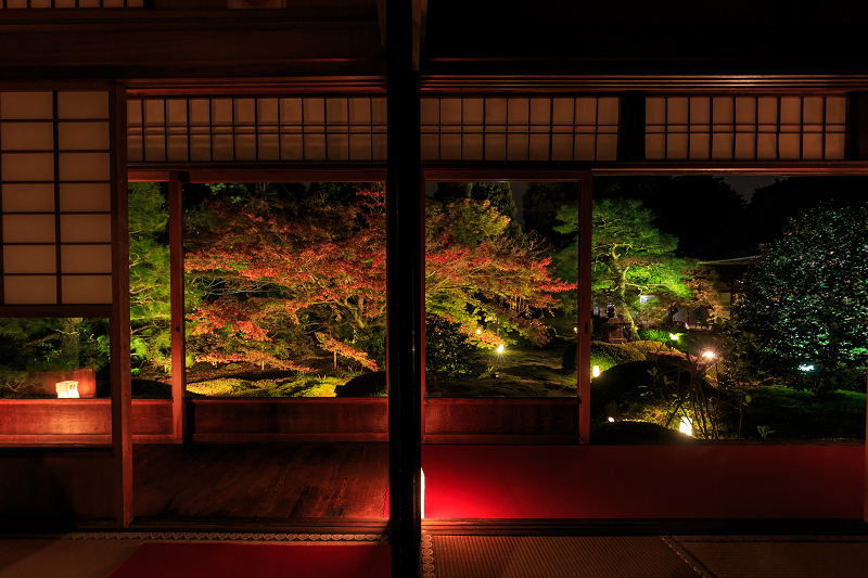 雲龍院・紅葉ライトアップ(泉涌寺塔頭)_f0155048_2355716.jpg
