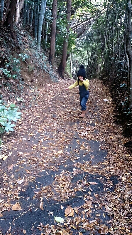 f0341250_857246.jpg