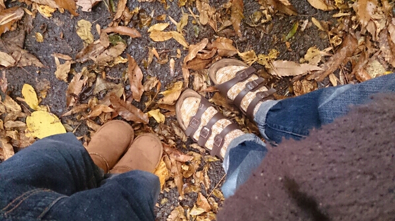 f0341250_8573035.jpg