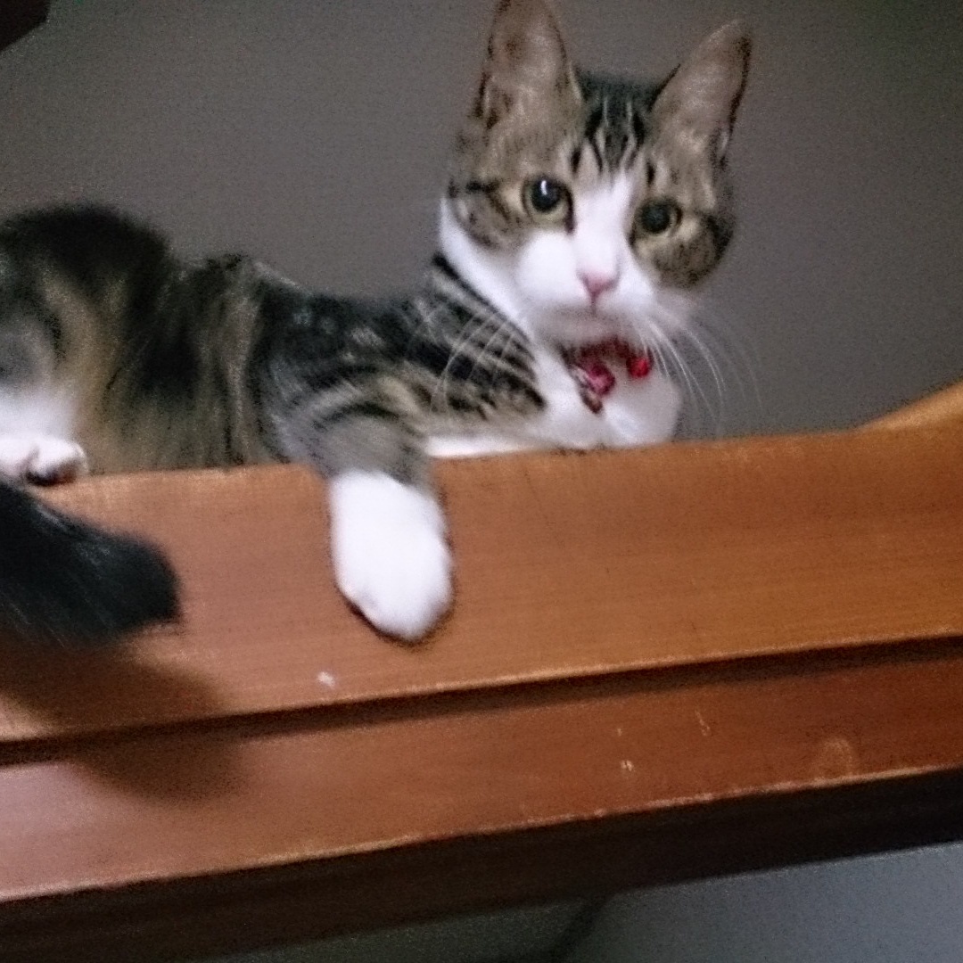 c0245751_15023339.jpeg