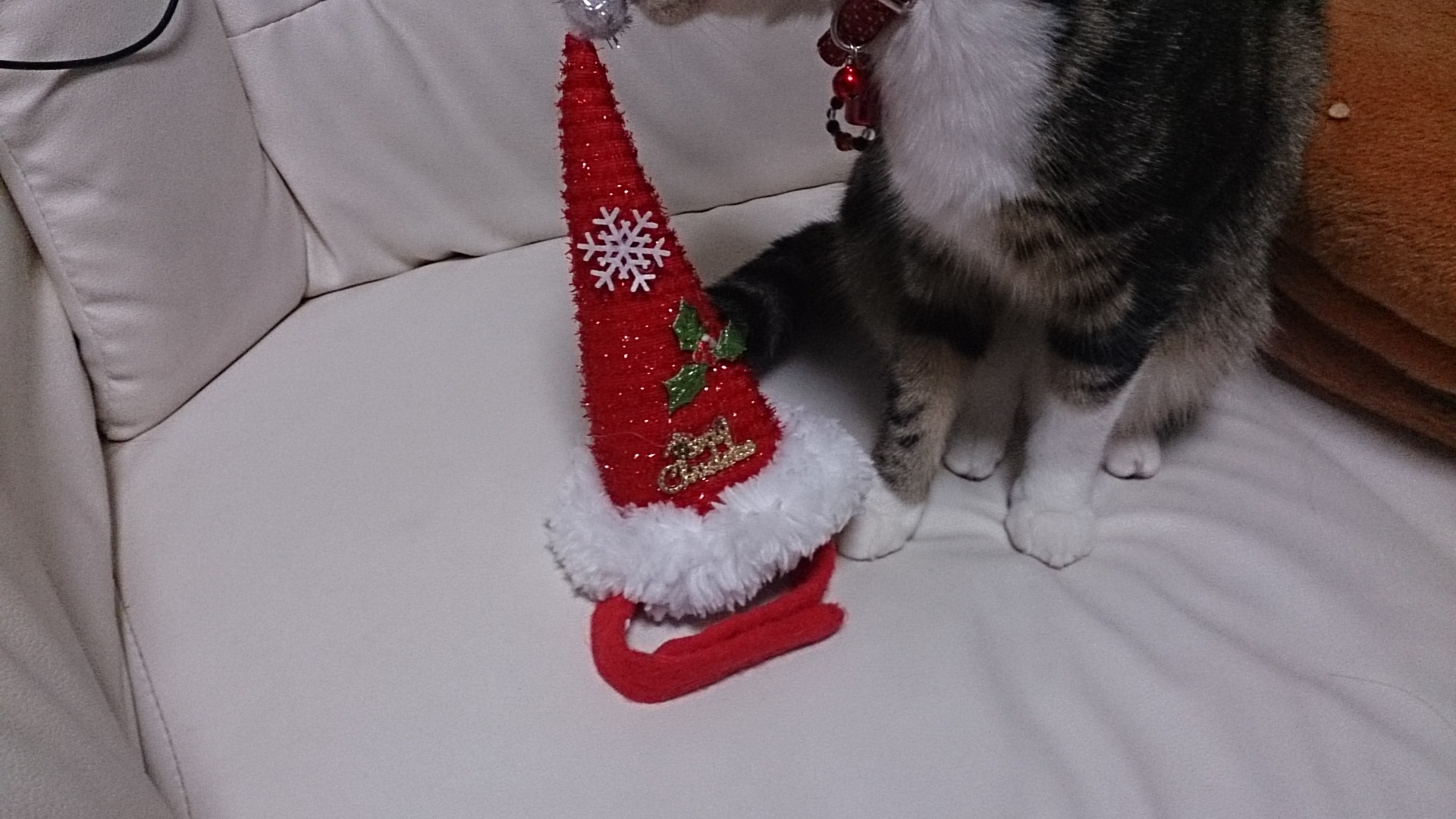 c0245751_15411717.jpeg