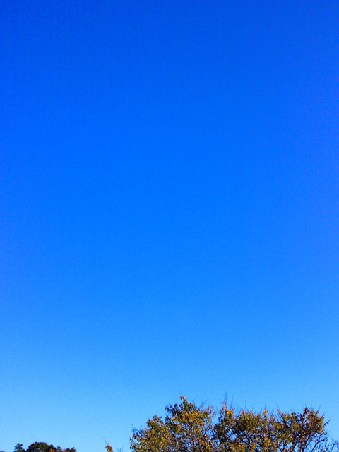 c0039153_032103.jpg