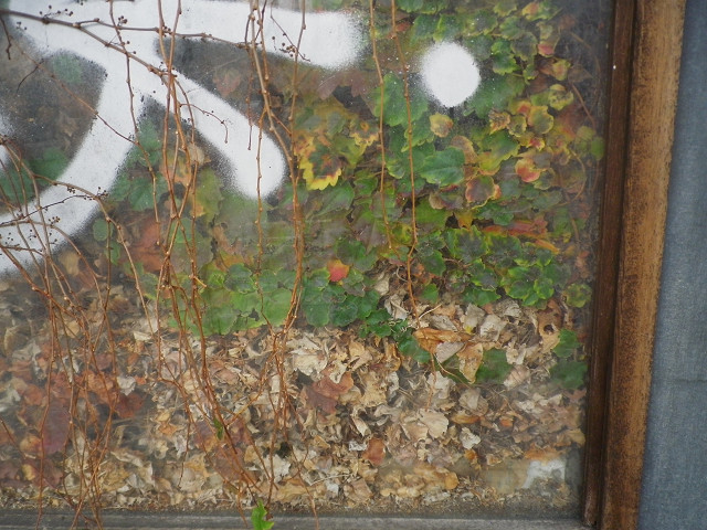 c0080357_23252247.jpg