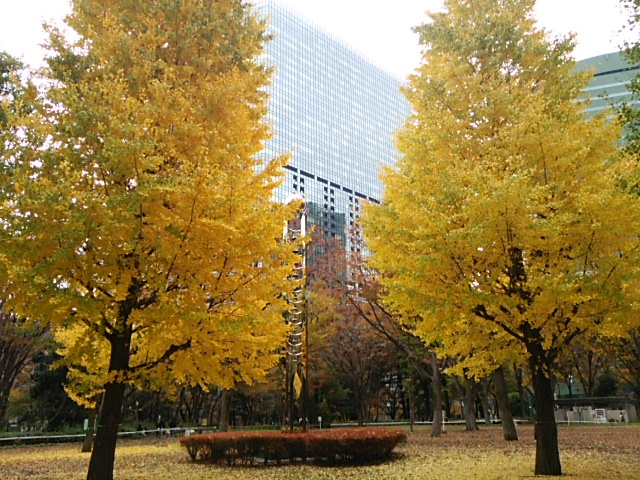 f0043559_2042439.jpg