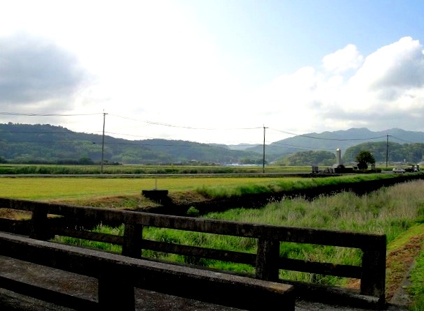 c0119160_702271.jpg