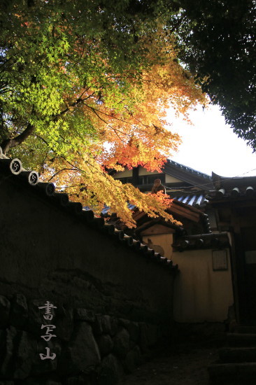 書写山円教寺_e0204562_12230144.jpg